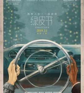 S495绿皮书 (带静音水印) 2018 评分8.9