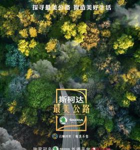 S407最美公路 (2018) 豆瓣7.6 纪录片