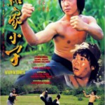 S322杂家小子1979年KNOCKABOUT洪金宝自导自演元彪领衔经典港产武打片