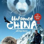 S319未发现的中国 / 野性中国 (2011)