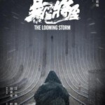 Y464暴雪将至 2017 评分7.0