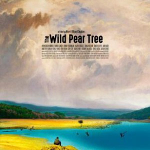 Y470野梨树(2018) 豆瓣7.7