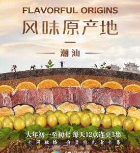 S557风味原产地：潮汕 不兼容PS3/4