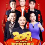 S5552019春节联欢晚会+元宵晚会 高清版 不兼容PS、