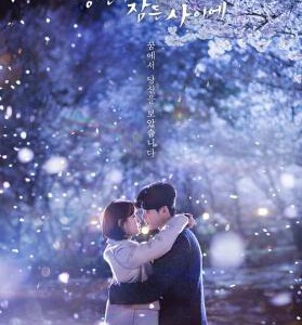 Q423韩剧:当你沉睡时(李钟硕) 豆瓣评分 8.1 不支持PS