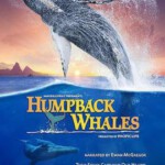 A2-64 4K UHD 座头鲸的鸣歌 HUMPBACK WHALES (2015) 豆瓣8.2