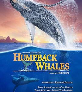 A2-64 4K UHD 座头鲸的鸣歌 HUMPBACK WHALES (2015) 豆瓣8.2