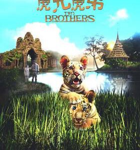 X374虎兄虎弟 2004 豆瓣评分高达8.5