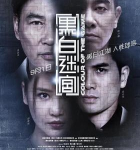 W519黑白迷宫 2017