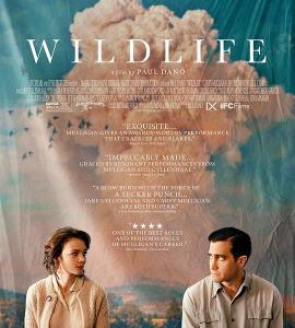 U338狂野生活 2018 评分7.3