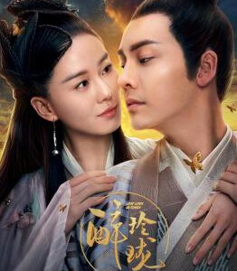 W377-378醉玲珑 2碟 2017 刘诗诗/陈伟霆 HDTV高清版 豆瓣5.5