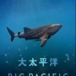 W312大太平洋（纪录片）2017