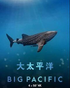 W312大太平洋（纪录片）2017