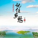 W313-314新到：记住乡愁 2碟（第4季）共60集