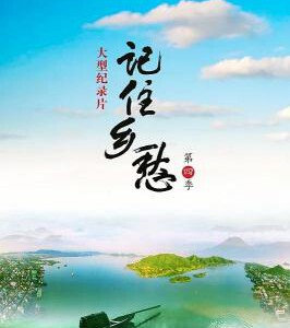 W313-314新到：记住乡愁 2碟（第4季）共60集