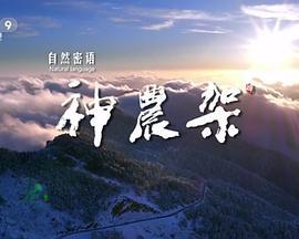 W315神农架（纪录片） 高清版 不支持PS3 PS4