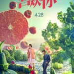 T526喜欢你 2017 高清版 金城武 周冬雨 国产 男人使用手册/你看上去很好吃 豆瓣6.8