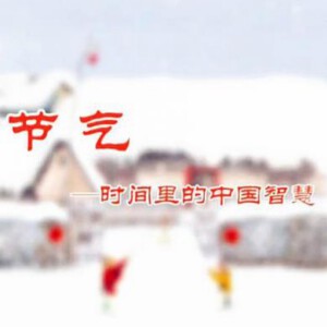 T469节气：时间里的中国智慧 不兼容sony HDTV高清版 不支持PS3 PS4