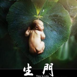 T405-407生门（完整第一季+电影版）A (2017) 3碟装