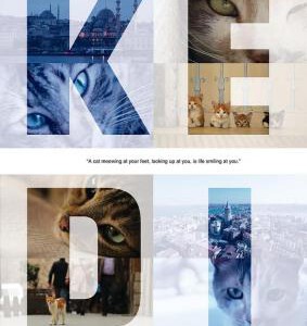 T408爱猫之城 (2016)