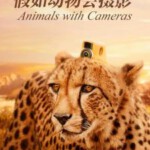 T409假如动物会摄影 (2018)