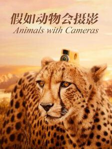 T409假如动物会摄影 (2018)