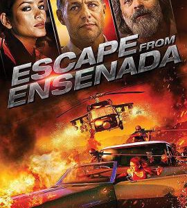 P462墨西哥大逃亡/加州梦CALIFORNIA DREAMING (2017)