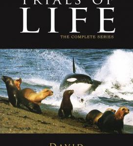 P418-419 BBC 生命之源 2碟 高清版 The Trials of Life (1990) 不兼容sony 豆瓣9.2