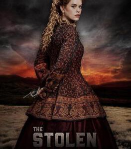 P393被窃之物 2017