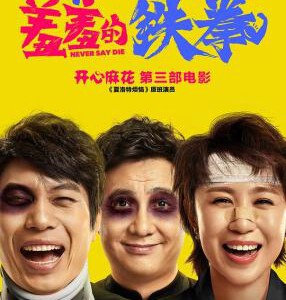 P355羞羞的铁拳 NEVER SAY DIE (2017)(票房超30亿 开心麻花”再造票房神话)高清版