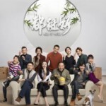 U378-379 都挺好 2碟 姚晨 2019 豆瓣7.8 HDTV高清版 不支持PS3 PS4