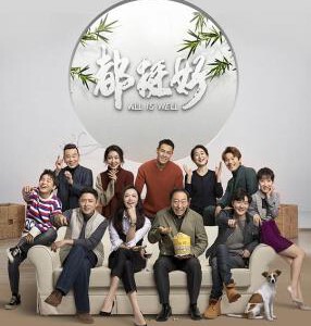 U378-379 都挺好 2碟 姚晨 2019 豆瓣7.8 HDTV高清版 不支持PS3 PS4