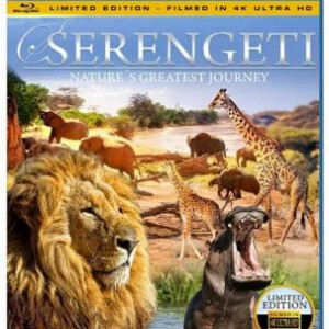 A4-09 4K UHD 塞伦盖蒂-自然界最壮观的旅程 无字幕 风光纪录片 (2015) 豆瓣7.9