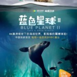 N524-526蓝色星球2/蓝色星球 第二季 三碟装 BBC年度诚意巨献豆瓣评分几近满分9.9分