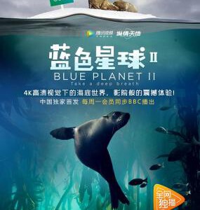 N524-526蓝色星球2/蓝色星球 第二季 三碟装 BBC年度诚意巨献豆瓣评分几近满分9.9分