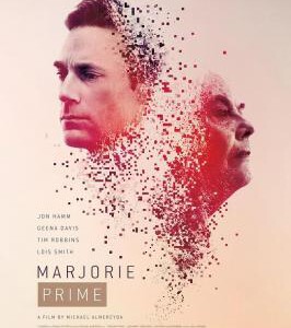 N453衍生玛约莉 2017