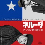 N460追捕聂鲁达 2016