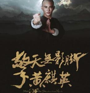 N376擎天无影脚黄麒英 MASTER OF THE SHADOWLESS KICK WONG KEI-YING(2016)