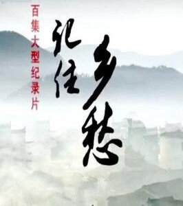 R438-439记住乡愁 第二部 2碟 (2016) HDTV高清版+精译中文字幕 不兼容PS3 PS4