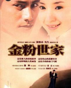 M493-494金粉世家 2碟 陈坤 2003 HDTV高清版 不兼容PS3 PS4 豆瓣8.2