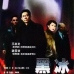 M495黑冰 2001 王志文 蒋雯丽 HDTV高清版 不兼容PS3 PS4 豆瓣7.7