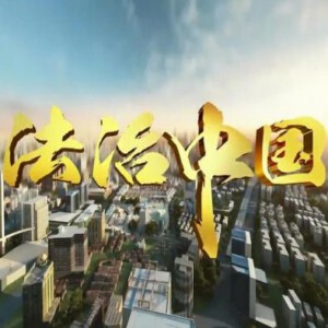 M306法治中国 2017 HDTV高清版+官方国语声轨+官方中文字幕 不支持PS3 PS4