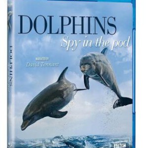 L506/【BBC】卧底海豚帮 2014