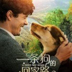 U354一条狗的回家路 正式版