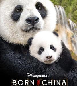 L416我们诞生在中国/诞生于中国 BORN IN CHINA (2016)