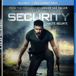 L423王牌保安/保安 SECURITY (2017)