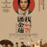 R304我不是潘金莲(正式版) I Am Not Madame Bovary(2016)