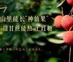 K457纪录片：美丽西江 （2016） HDTV高清版 不兼容PS3 PS4