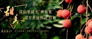 K457纪录片:美丽西江 (2016) HDTV高清版 不兼容PS3 PS4