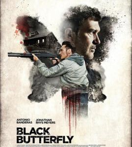 K424黑蝴蝶 BLACK BUTTERFLY （2017）